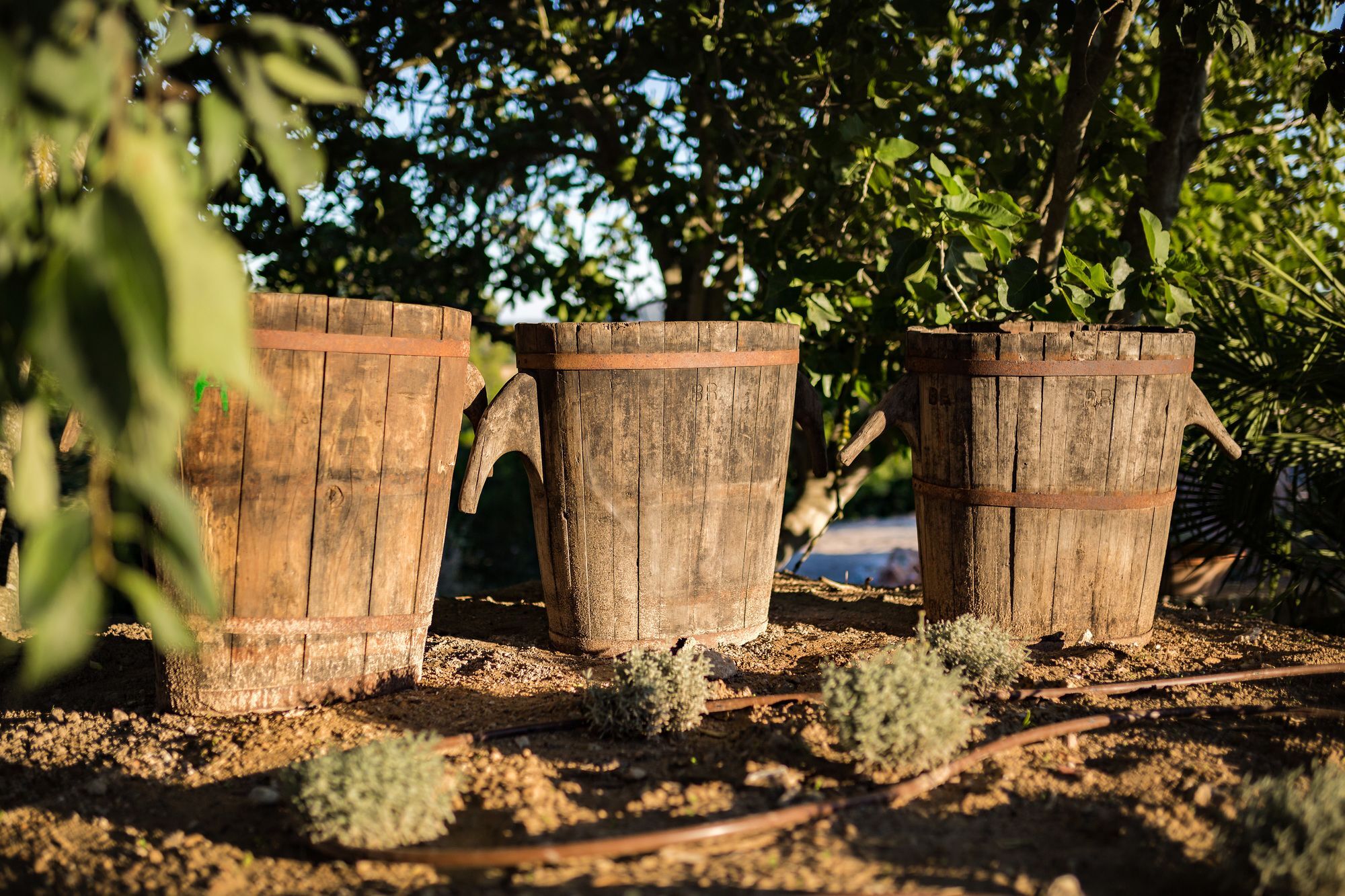 Agroturismo Ses Vistes ポレレス エクステリア 写真